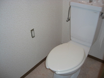 Toilet.  ☆ There is an electrical outlet in the toilet!  ☆