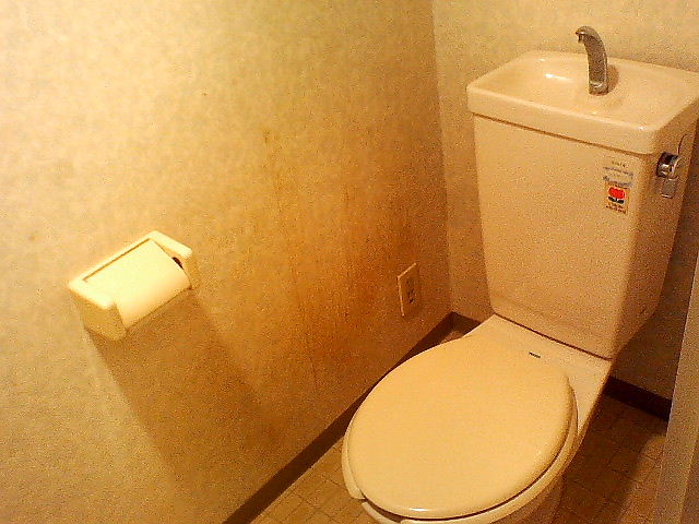 Toilet. Beautiful toilet.