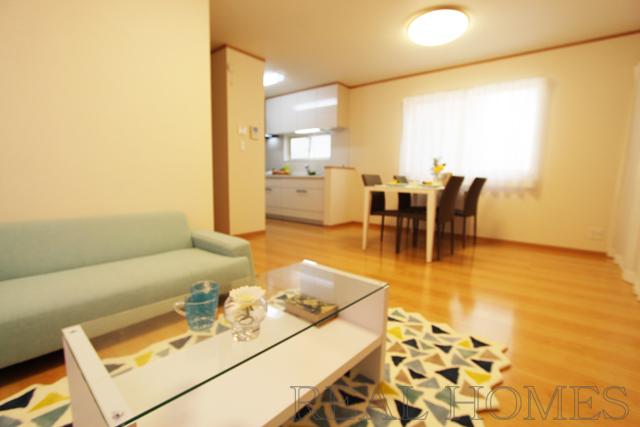 Living. Room (August 2013) Shooting