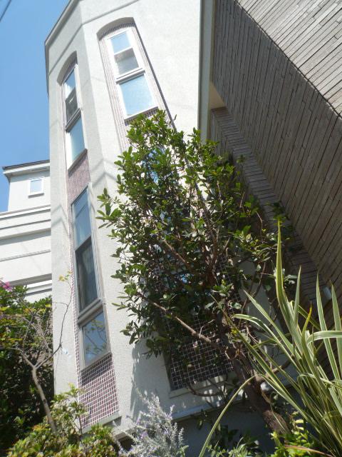 Local appearance photo. The beautiful appearance which has been subjected to design tiles and mall, Green shine of planting.