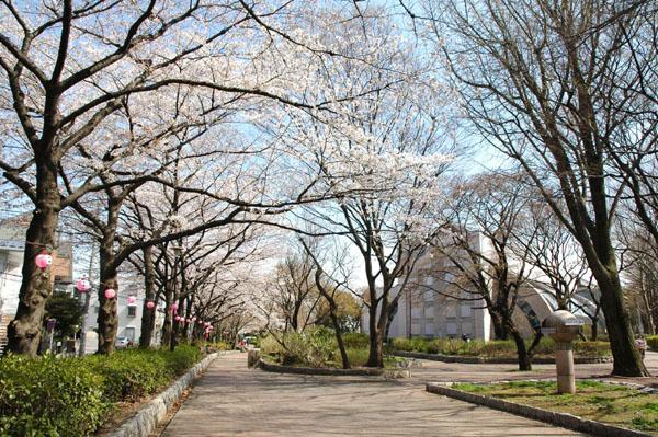 park. Metropolitan Johoku to Central Park 160m