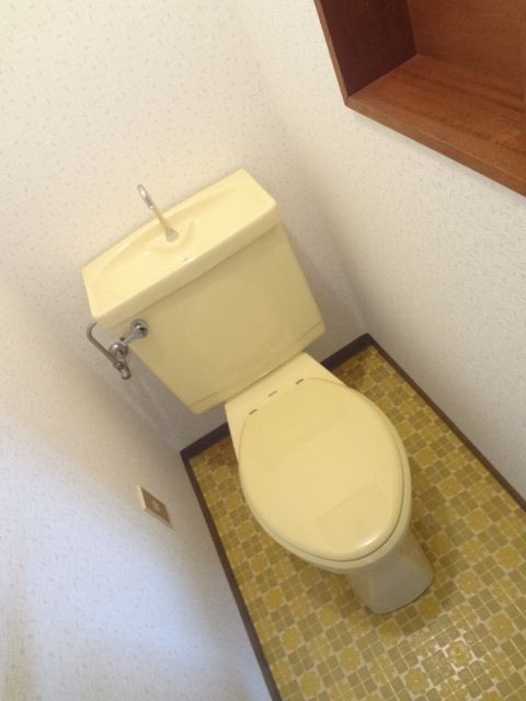 Toilet. Toilet with cleanliness