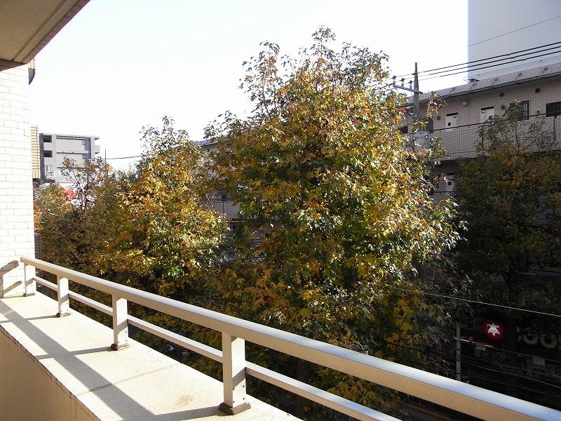 View photos from the dwelling unit. Third floor part is you can toward the top of the furniture Namiki is in eyes. Views of the witness green while living in the city. You calm.