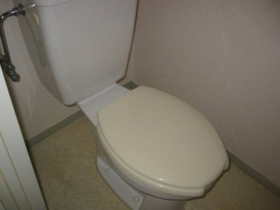 Toilet. Toilet