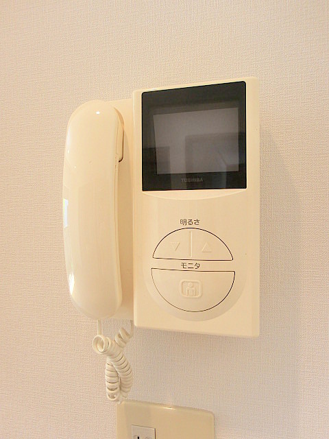 Security. Intercom with TV monitor