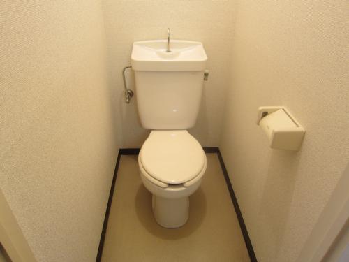 Toilet. Toilet Room