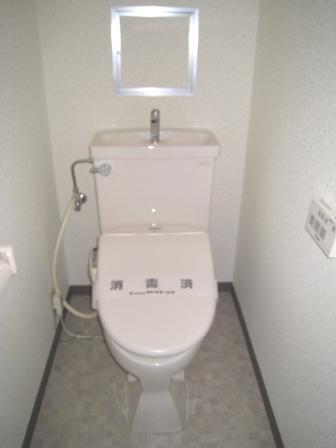 Toilet. Cleaning function toilet seat