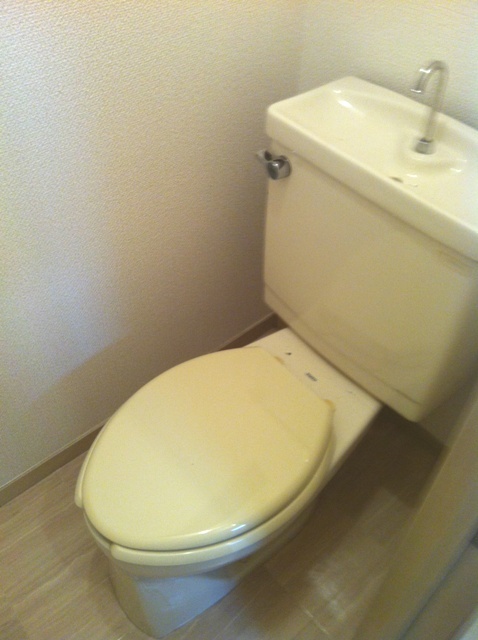 Toilet. Toilet