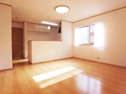 Living. Indoor (10 May 2013) Shooting