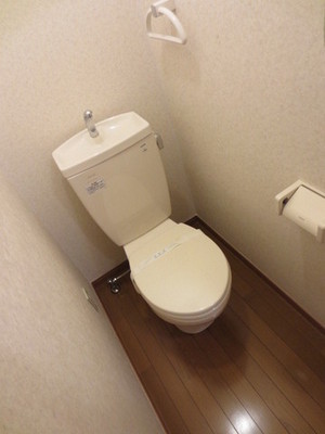 Toilet. Toilet (reference photograph of another in Room)