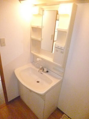 Washroom. With separate wash basin