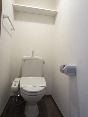 Toilet. It comes with a warm water washing toilet seat!