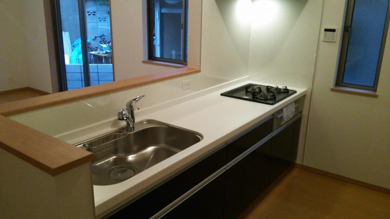 Kitchen. Popular face-to-face kitchen