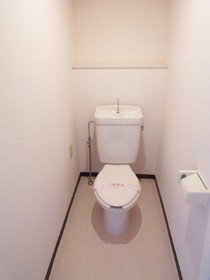 Toilet. Toilet (separate room reference photograph)