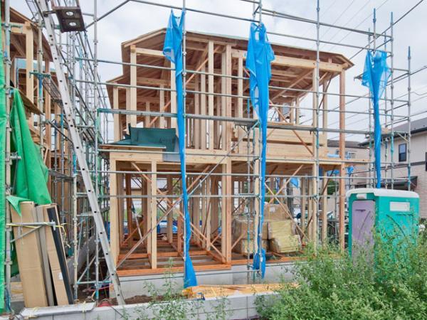 Local appearance photo. 2013 / 11 / 21 shooting