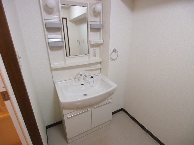 Washroom. Washbasin a shower.