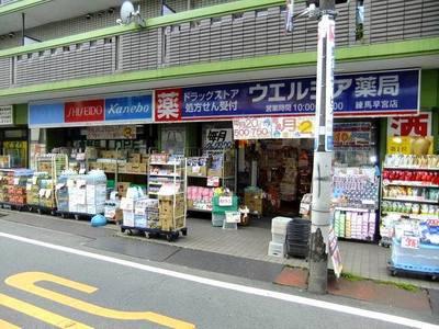 Dorakkusutoa. Uerushia Hayamiya shop 220m until (drugstore)