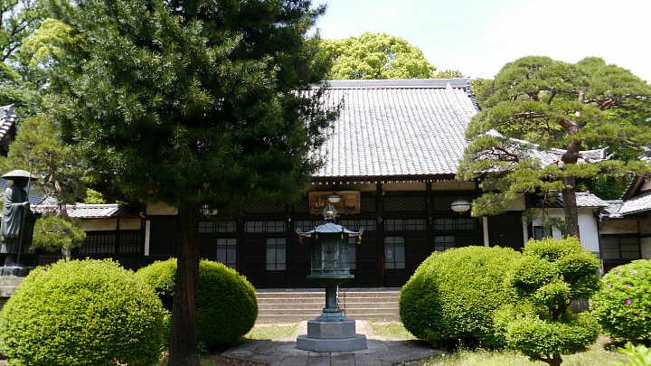 Streets around. Southern Elephant Institute