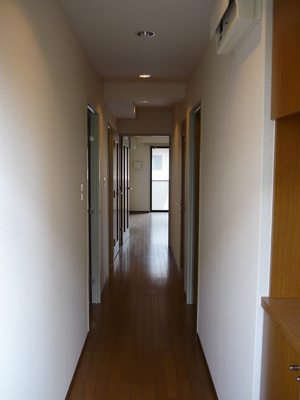 Entrance. Corridor as seen from the front door