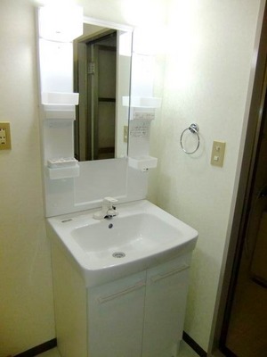 Washroom. Bathroom vanity