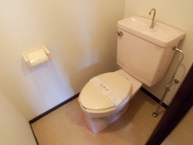 Toilet. Toilet (separate room reference photograph)