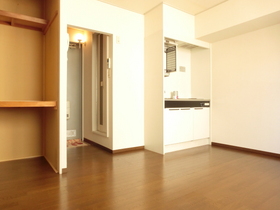 Living and room. Spacious room