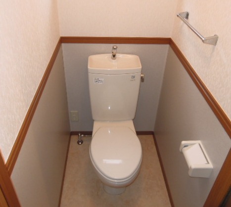 Toilet. (See picture)