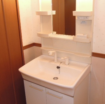 Washroom. Convenient Shampoo dresser