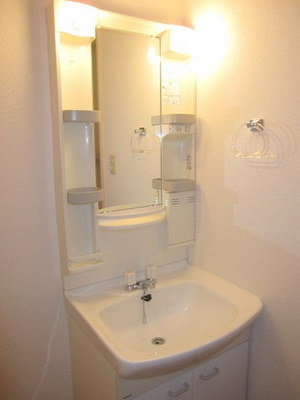 Washroom. With separate wash basin