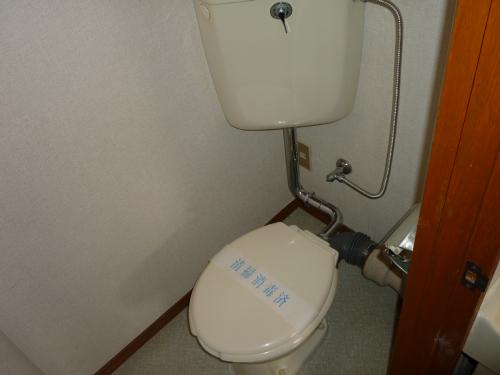 Toilet. Toilet