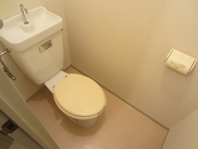 Toilet. Toilet (reference photograph of another in Room)