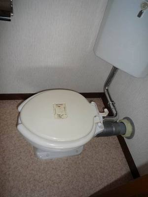 Toilet. Small toilet