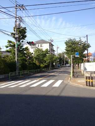 Local land photo. Front road (1)