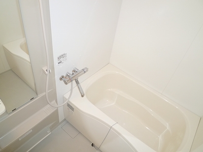 Bath. Bathroom is also spacious space