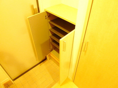 Other. Shoes BOX