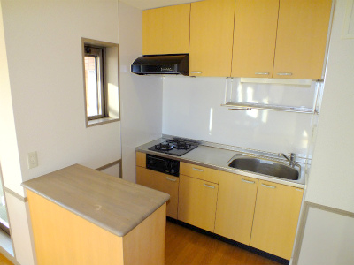 Living and room. counter, Window with a kitchen