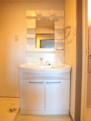 Washroom. Shampoo dresser