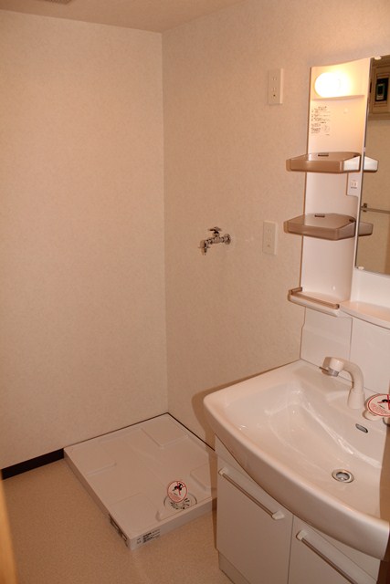 Washroom. Shampoo Dresser & drum-type washing machine is also space of allowance