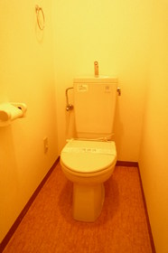 Toilet. Heating function with toilet seat