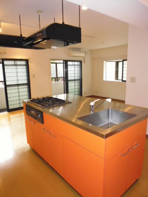 Kitchen. Island Kitchen