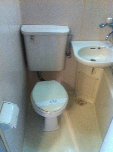 Toilet. Toilet