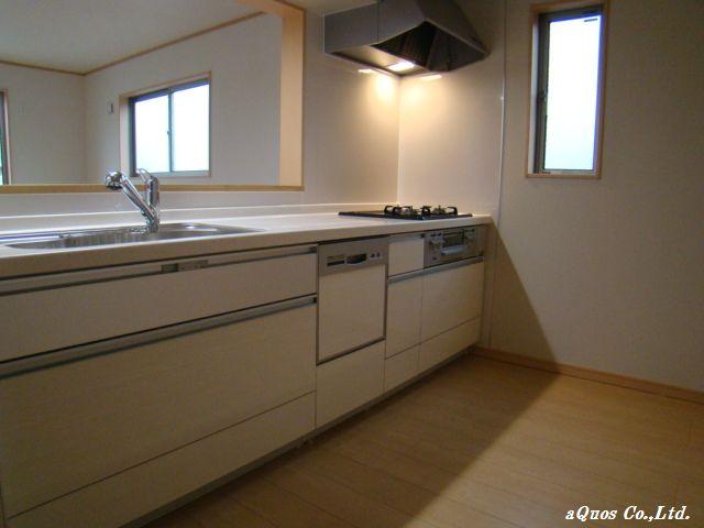 Kitchen. Indoor (12 May 2013) Shooting