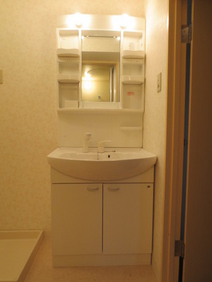 Washroom. With separate wash basin