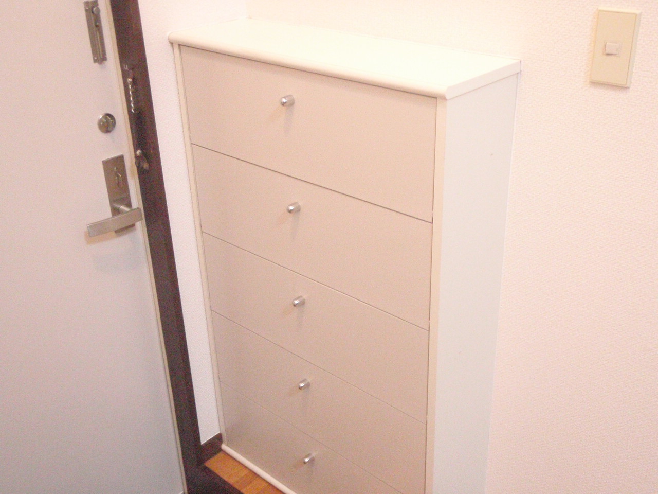 Entrance. Shoe box