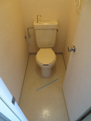 Toilet. Toilet