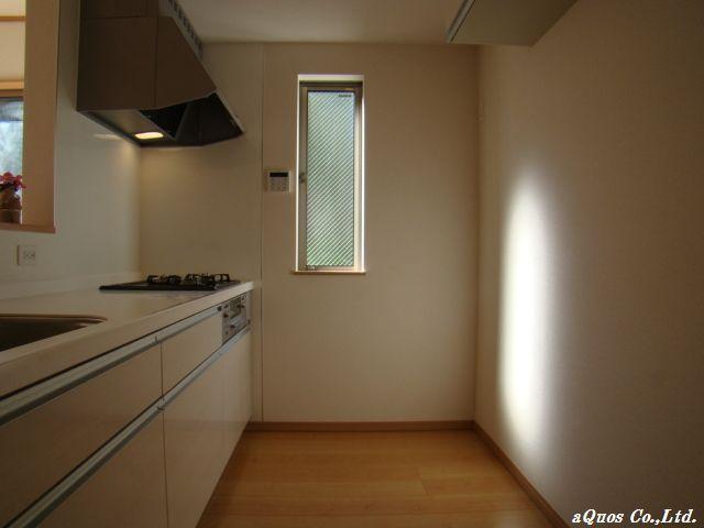 Kitchen. Indoor (11 May 2013) Shooting