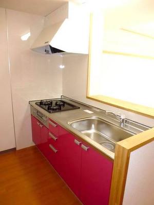 Kitchen. Colorful 3-burner stove in the kitchen