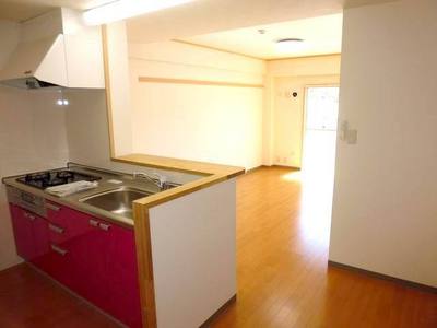 Living and room. Good and bright LDK per yang (face-to-face kitchen)