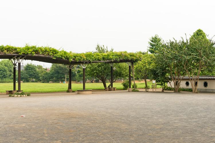 Other. It was built in Chuo Grand site, A 5-minute walk ( ~ 6 mins) of Tateno park. The park Jabujabu pond, There is such a playground out of the water to be blown, Summer is especially popular with children. I want to become the park to go to play every day. 