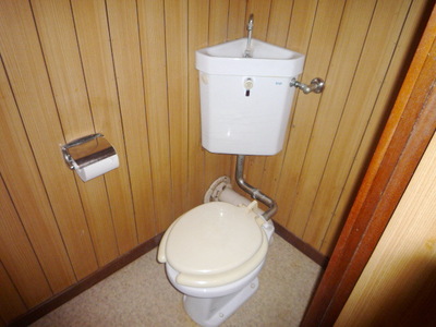 Toilet. Toilet